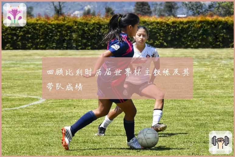回顾比利时历届世界杯主教练及其带队成绩