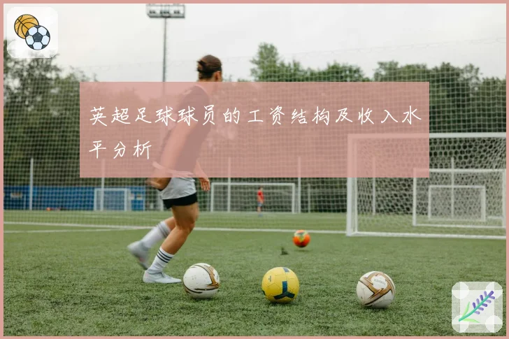 英超足球球员的工资结构及收入水平分析