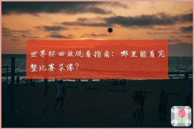 世界杯回放观看指南：哪里能看完整比赛录像？